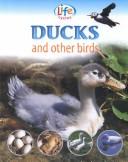 Cover of: Ducks and Other Birds (Morgan, Sally. Life Cycles.) by Sally Morgan
