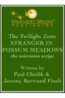 Cover of: The Twilight Zone by Paull Finch Chitlik, Jeremy Bertrand Finch