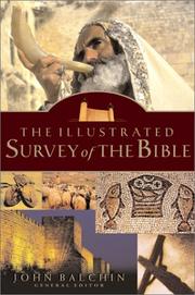 Cover of: The Illustrated Survey of the Bible