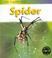 Cover of: Life Cycle of a Spider (Life Cycle of a...)