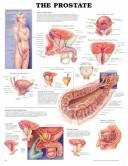 Cover of: The Prostate Chart