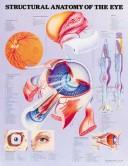 Cover of: Structural Anatomy of the Eye Anatomical Chart