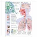 Cover of: Understanding Influenza by Anatomical Chart Company, Anatomical Chart Company