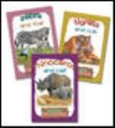 Cover of: Tigress and Cub/Zebra and Foal/Rhinoceros and Calf (Fun Time Fold-Out Books) by 