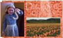 Front cover of Dutch Style Recipes by Unknown