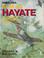 Cover of: Nakajima Ki-84 a/b Hayate