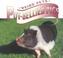 Cover of: Pot-Bellied Pigs (Weird Pets)