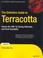 Cover of: The Definitive Guide to Terracotta