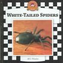 Cover of: Spiders Set II