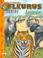 Cover of: Animales/ Animals (Enciclopedia Junior)