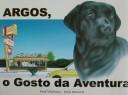 Cover of: Argos, O Gosto da Aventura (Argos, the City Dog)