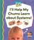 Cover of: I'll Help My Chums Learn about Systems!