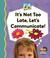 Cover of: It's Not Too Late, Let's Communicate!
