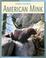Cover of: American Mink (Animal Invaders)