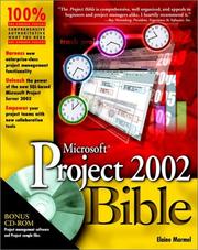 Microsoft Project 2002 bible