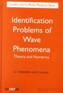 Identification Problems of Wave Phenomena by S. I. Kabanikhin, A. Lorenzi