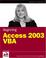 Cover of: Beginning Access 2003 VBA (Programmer to Programmer)