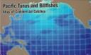 Cover of: Pacific Tunas and Billfishes: Atlas of Commercial Catches