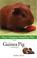 Cover of: Guinea Pig