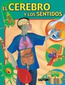 Cover of: El Cerebro Y Los Sentidos/the Brain And the Senses (Cuerpo Y Salud /Body and Health) by Katie Harker