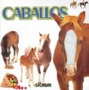 Cover of: Caballos / Horses (Caricias / Caresses)