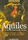 Cover of: Aquiles Y La Guerra De Troya