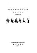 Cover of: Qinglong quan yu Dasi (Zhongguo tian ye kao gu bao gao ji)