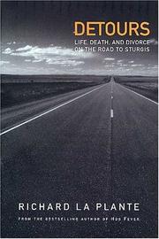 Cover of: Detours: Life, Death, And Divorce On The Road To Sturgis