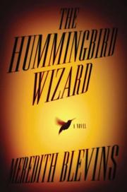 Cover of: The hummingbird wizard | Meredith Blevins