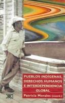 Pueblos Indigenas, Derechos Humanos E Interdependencia Global by Patricia Morales