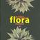 Cover of: Mi primer diccionario de flora de Mexico/My first dictionary of plant life of Mexico