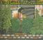 Cover of: Un Punado De Semillas