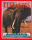 Cover of: Elefantes