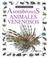 Cover of: Asombrosos Animales Venenosos/Amazing Poisonous Animals (Colección "Mundos Asombrosos"/Eyewitness Junior Series)