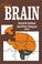 Cover of: The Brain