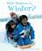 Cover of: What happens in winter?