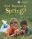 Cover of: What happens in spring?