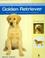 Cover of: Golden Retriever (Nuevas Guias Perros De Raza / New Guides for Breed Dogs)