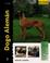 Cover of: Dogo Aleman (Excellence)
