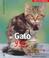 Cover of: Mi Gato Y Yo / My Cat And Me