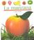 Cover of: LA Manzana Y Otras Frutas/Apples and Other Fruit (Coleccion ""Mundo Maravilloso""/First Discovery Series)