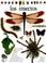 Cover of: Los Insectos