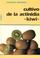 Cover of: Kiwi - Cultivo de La Actinidia