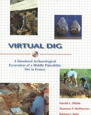 Virtual dig by Harold Lewis Dibble, Shannon P. McPherron, Barbara J. Roth