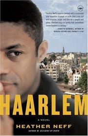 Cover of: Haarlem: A Novel