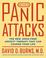 Cover of: When panic attacks
