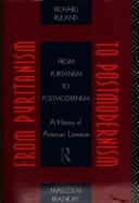 Cover of: From Puritanism to postmodernism: a history of American literature