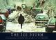 Cover of: The ice storm