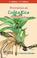 Cover of: Bromelias de Costa Rica =