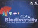 Cover of: Global biodiversity: earth's living resources in the 21st century